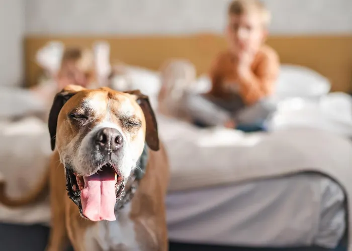 Hotel Marina Club Old Town View