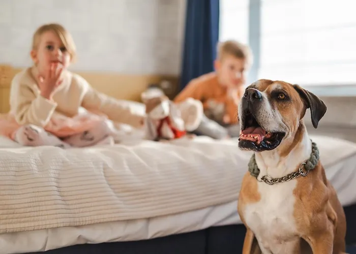 Hotel Marina Club Old Town View