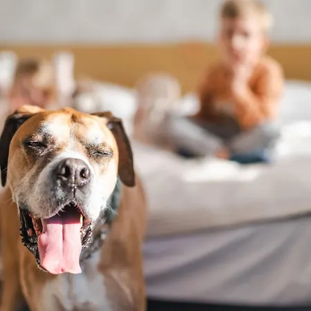 Hotel Marina Club Old Town View